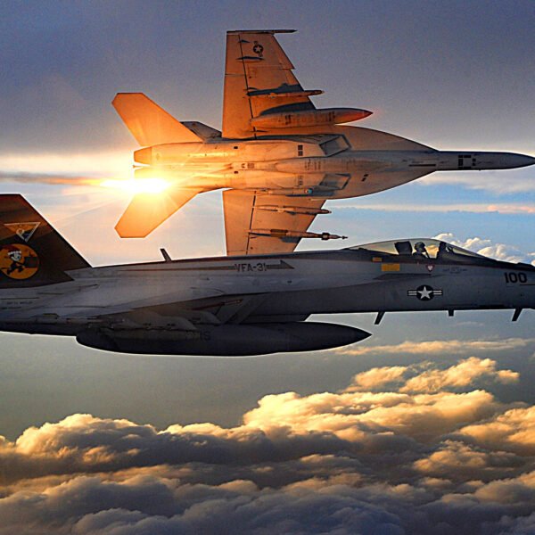 10. F- 18 Hornet